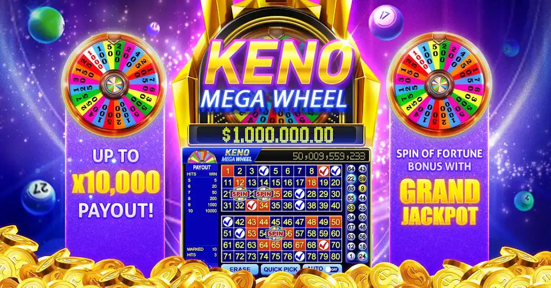 bet466 655 bet cassino entretenimento